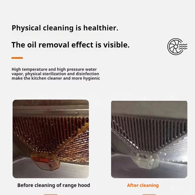 220V EU Plug High-Temperature Steam Cleaner for Home Car Deep Cleaning Kitchen Hood & Air Con Sterilization Appliance