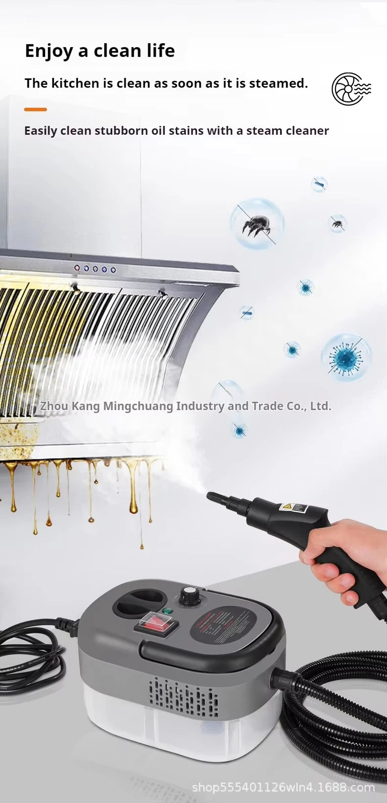 220V EU Plug High-Temperature Steam Cleaner for Home Car Deep Cleaning Kitchen Hood & Air Con Sterilization Appliance